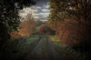 Que faire autour de Saint-Maximin-la-Sainte-Baume ?
